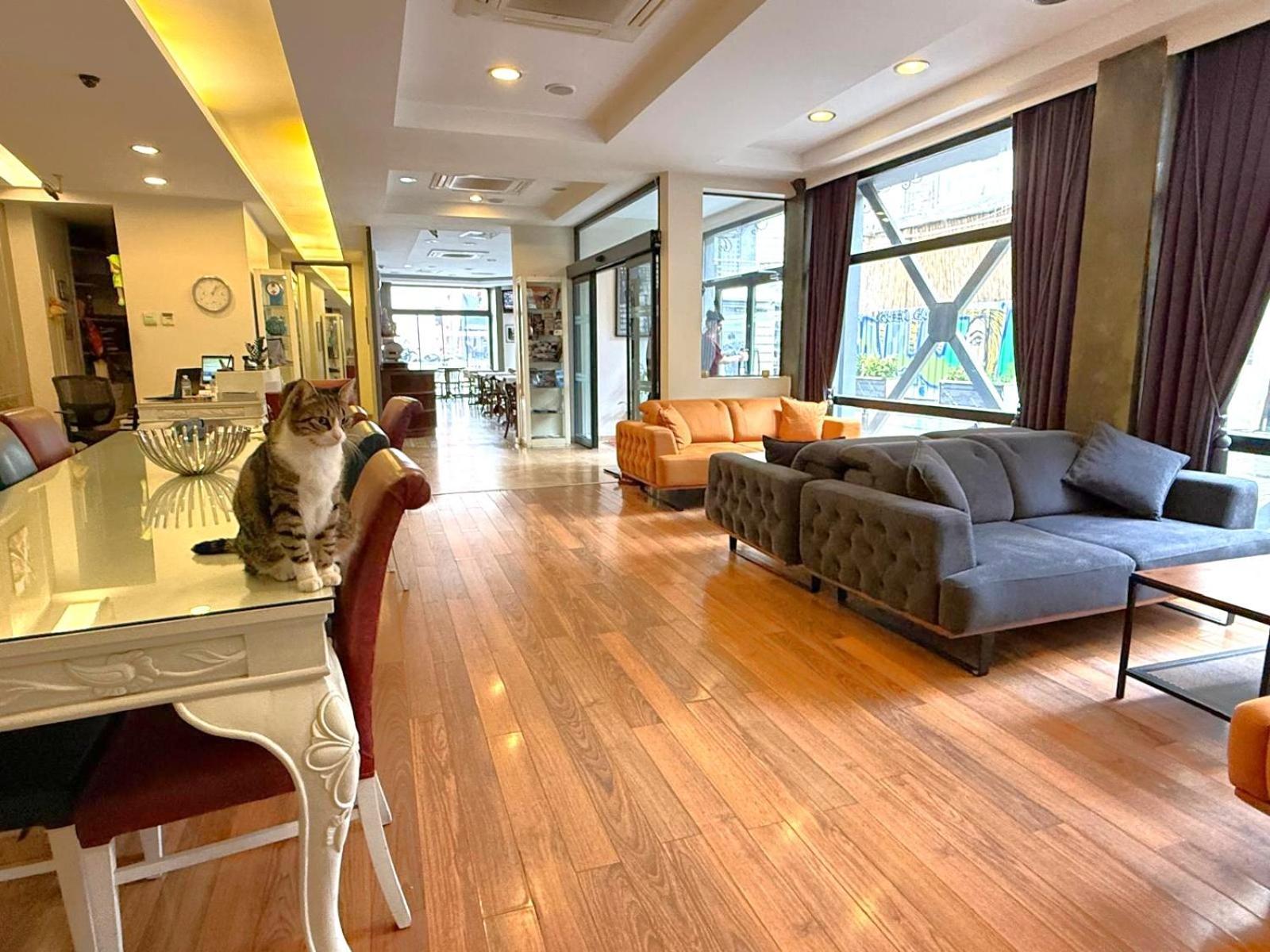 Hotellino Istanbul — Photos 2